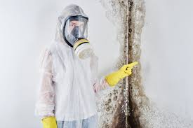 Best Black Mold Removal  in Lumberton, MS